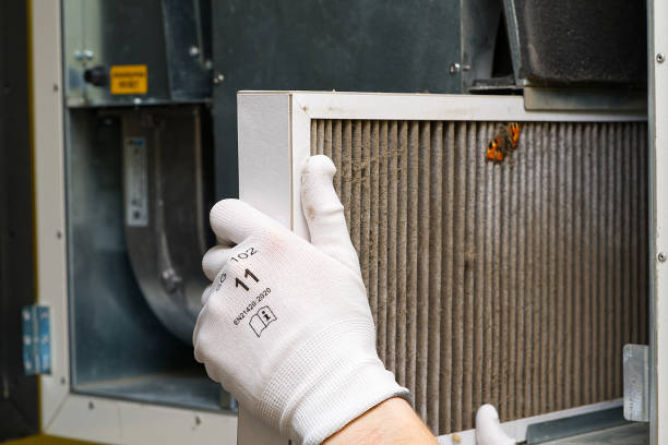Best Ductwork Cleaning Services  in Waukee, IA