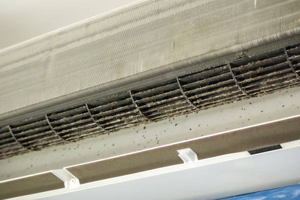 Best Residential Air Duct Cleaning  in Waukee, IA